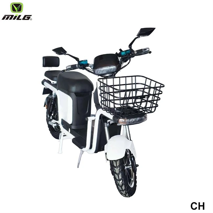 lithium battery cargo street moped3